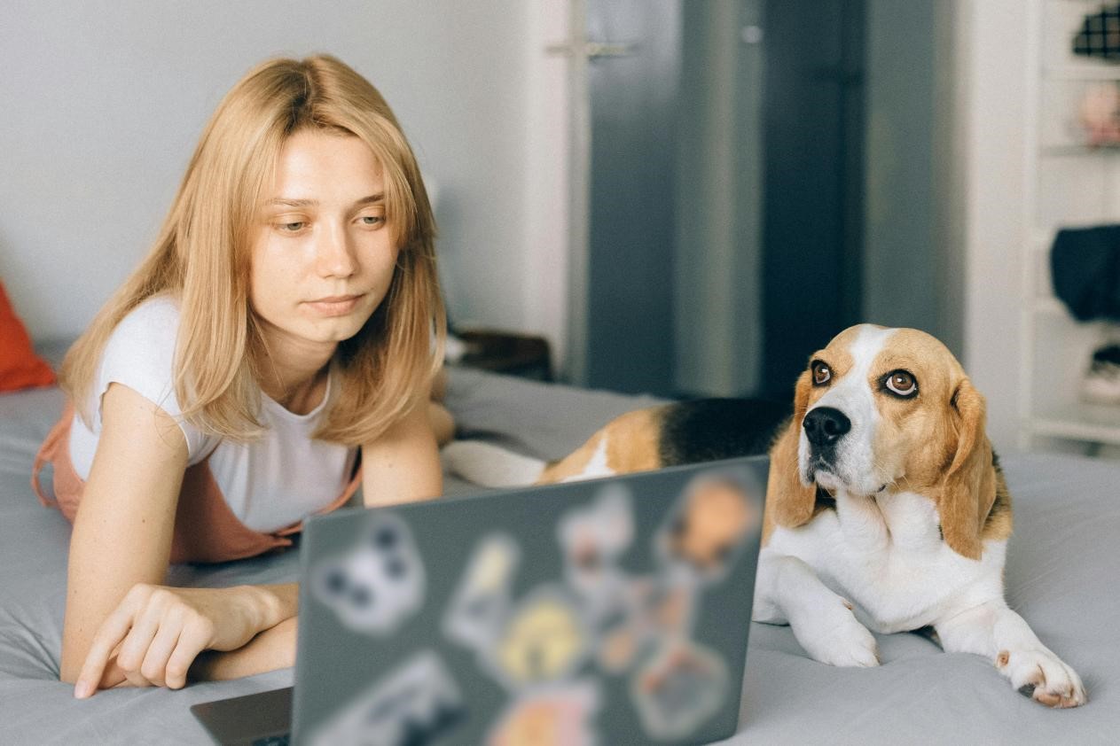 Unlocking Creativity: How Online Education Supports Artistic Pursuits